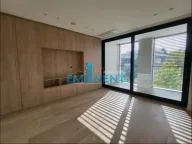 Izdavanje, četvorosoban stan, 213m², Savski Venac, Beograd - image 8