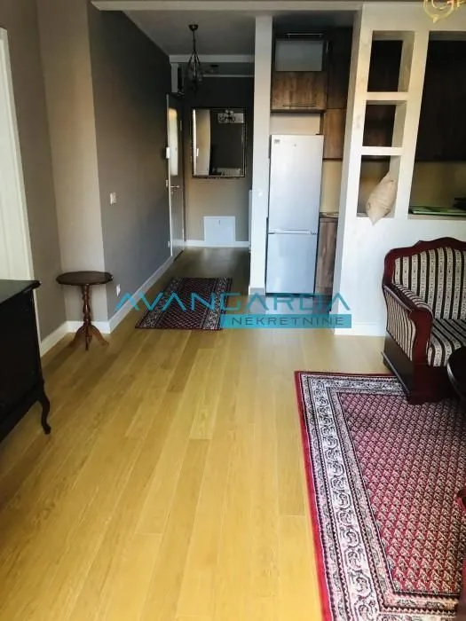Izdavanje, stan, 46m², Dorćol Sve Podlokacije, Beograd