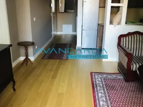 Izdavanje, stan, 46m², Dorćol Sve Podlokacije, Beograd - image 10