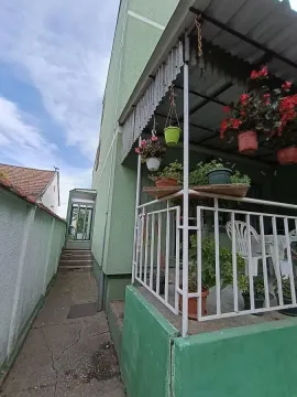 Pogled na natkrivenu terasu kuće sa zelenom fasadom i saksijama cveća. - image 9