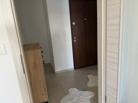 Izdavanje, jednosoban stan, 53m², Ljubović, Podgorica - image 5