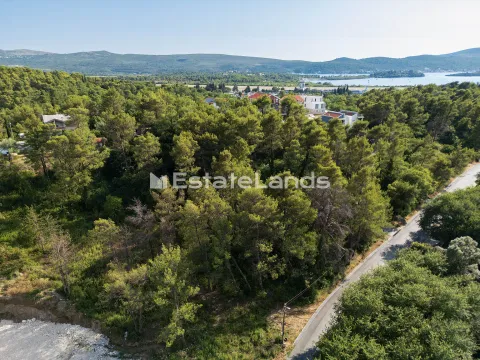 Pogled iz vazduha na pošumljeno zemljište sa putem u blizini. - image 4