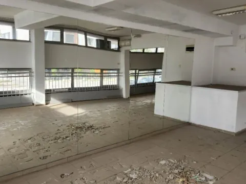 Izdavanje, poslovni prostor, 450m², Novi Sad, Srbija - image 2