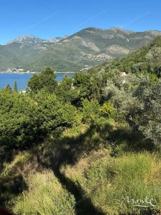 Prodaja, plac, 3429m², Donja Lastva, Tivat