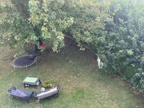 Green yard with trees, seating furniture, and a trampoline. - image 5