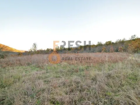 Prodaja, plac, 18000m², Danilovgrad, Crna Gora - image 8