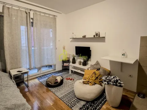 Izdavanje, garsonjera, 26m², Ljubović, Podgorica - image 3