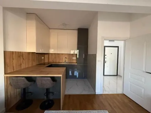 Prodaja, jednosoban stan, 43m², Zabjelo, Podgorica - image 3
