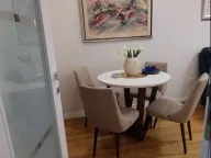 Izdavanje, jednosoban stan, 45m², Central Point, Podgorica - image 8