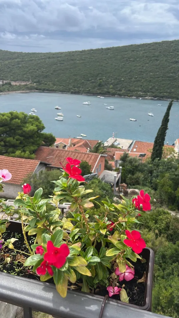 Pogled na zaliv i zelena brda sa terase sa cvijećem.