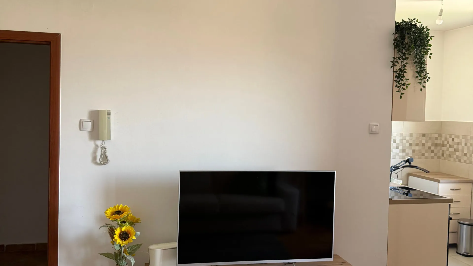Rent, studio apartment, 29m², Zabjelo, Podgorica