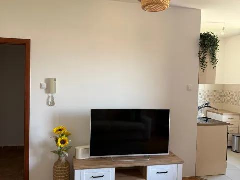 Rent, studio apartment, 29m², Zabjelo, Podgorica - image 2