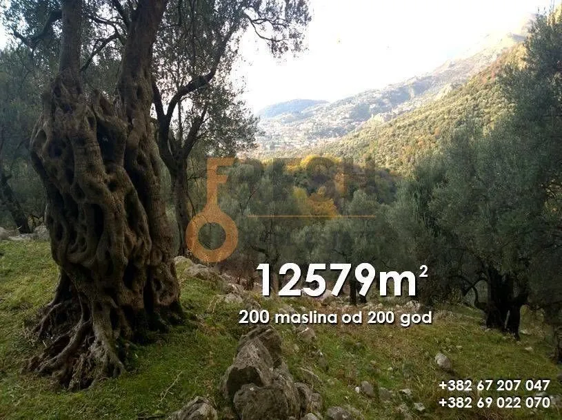 Prodaja, plac, 12579m², Bar, Crna Gora