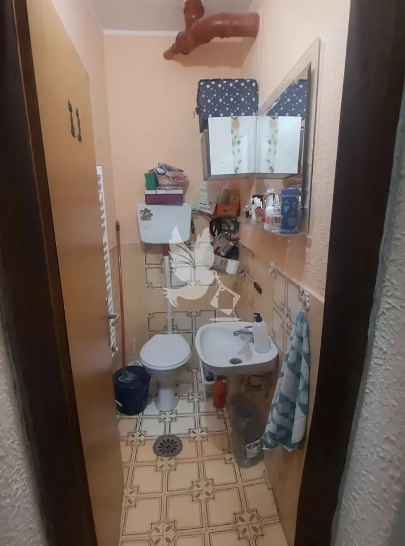 Sale, house, 218m², Mladenovac selo, Mladenovac