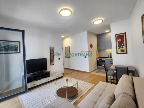 Izdavanje, dvosoban stan, 43m², Grbavica, Novi Sad Sve Podlokacije - image 2