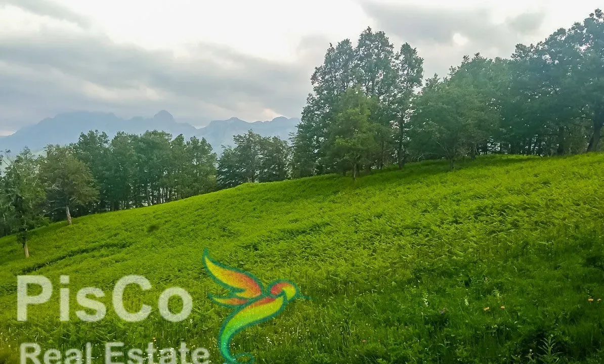 Prodaja, plac, 220000m², Kolašin, Crna Gora