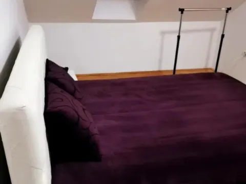 Izdavanje, trosoban stan, 43m², Detelinara, Novi Sad Sve Podlokacije - image 20