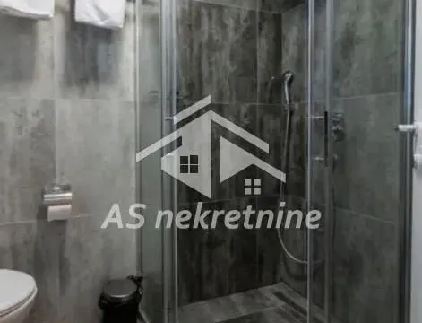 Izdavanje, dvosoban stan, 55m², Južni Bulevar, Vračar Sve Podlokacije - image 28