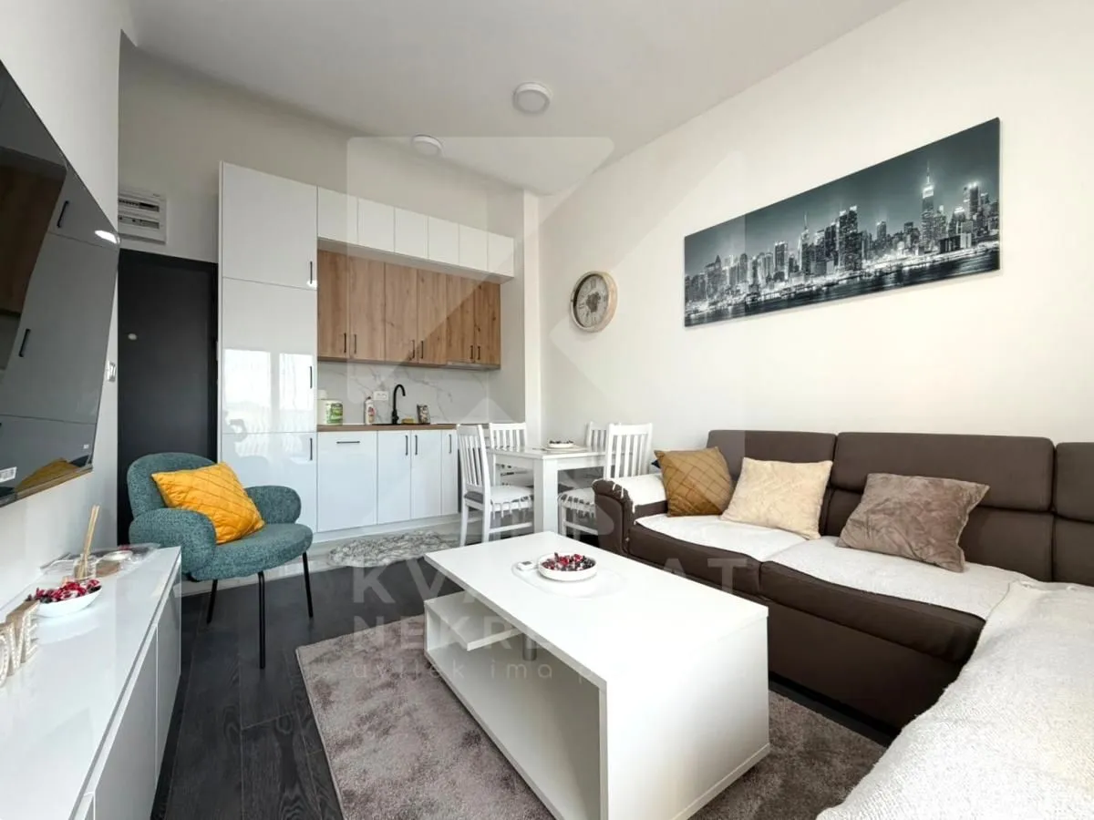 Izdavanje, jednosoban stan, 32m², Zabjelo, Podgorica