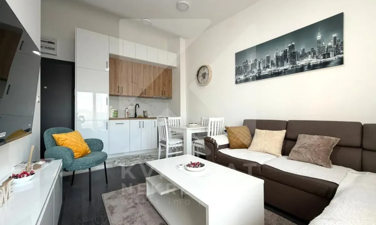 Izdavanje, jednosoban stan, 32m², Zabjelo, Podgorica