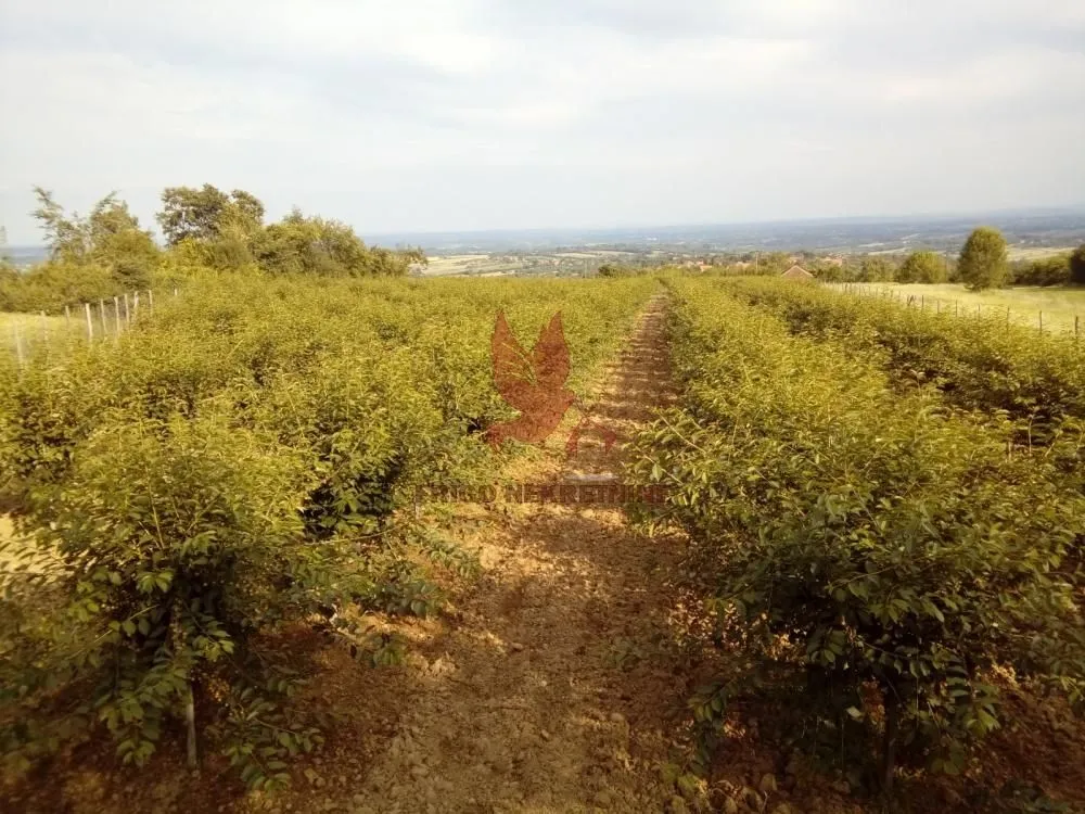 Prodaja, plac, 13700m², Koraćica, Mladenovac