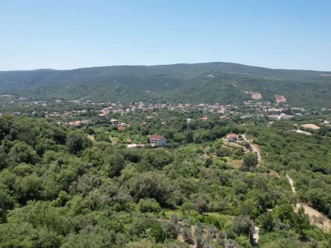 Prodaja, plac, 3000m², Radanovići, Kotor - image 5