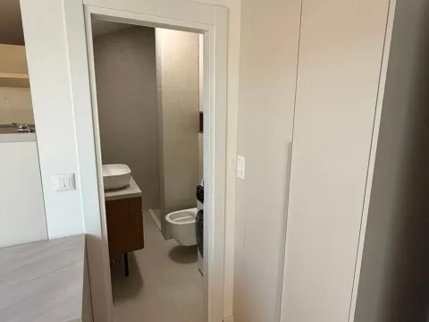 Rent, studio apartment, 25m², Zabjelo, Podgorica - image 3