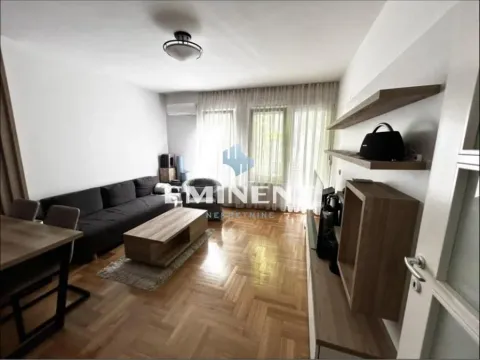 Izdavanje, dvosoban stan, 50m², Slavija, Vračar Sve Podlokacije - image 3