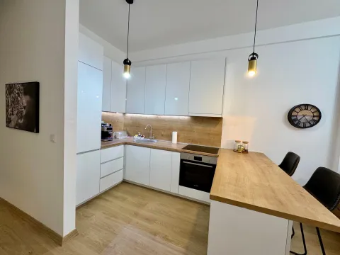 Stan-na-dan, jednosoban stan, 50m², Centar, Bar - image 4