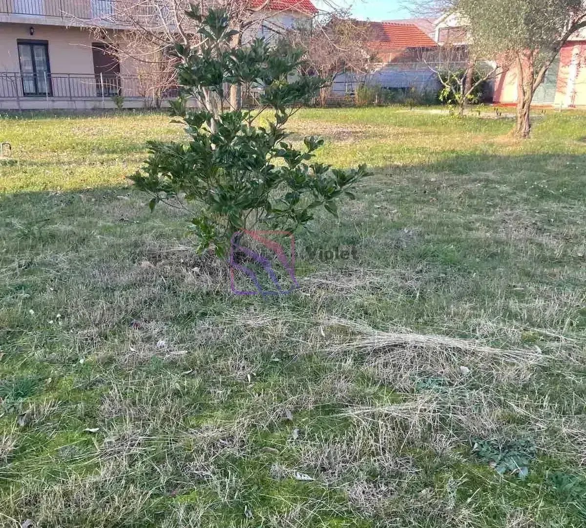 Prostrano dvorište sa travnjakom i rastinjem ispred kuće.