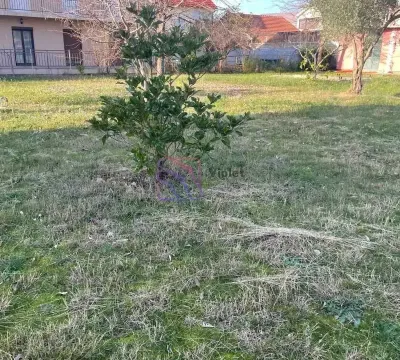 Prostrano dvorište sa travnjakom i rastinjem ispred kuće. - image 3
