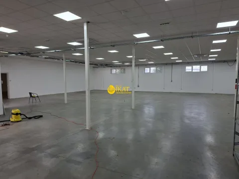 Izdavanje, poslovni prostor, 650m², Altina, Beograd - image 5