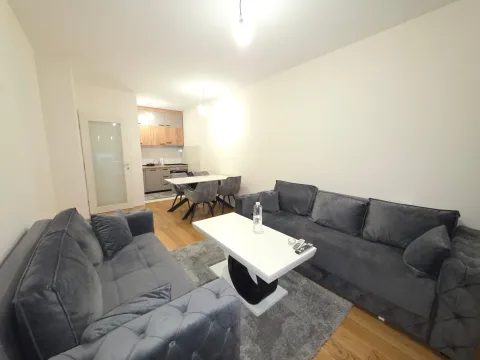 Prodaja, jednosoban stan, 47m², Central Point, Podgorica - image 2