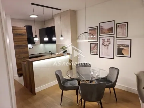 Izdavanje, dvosoban stan, 55m², Savski Venac, Beograd - image 7