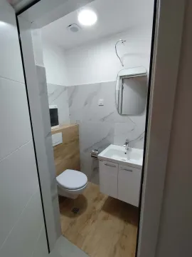 View of a modernly equipped bathroom with a washbasin, cabinet, mirror, and toilet. - image 17