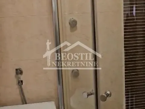 Izdavanje, četvorosoban stan, 180m², Vračar Hram, Vračar Sve Podlokacije - image 12