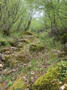 Prodaja, plac, 12000m², Centar, Bar - image 5