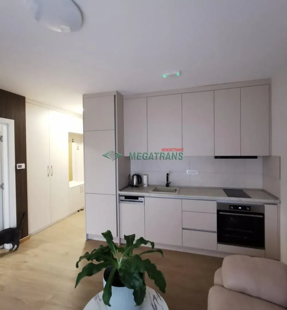 Izdavanje, jednosoban stan, 31m², Mišeluk, Petrovaradin