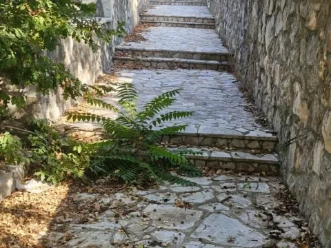 Prodaja, plac, 7300m², Spuž, Danilovgrad - image 3