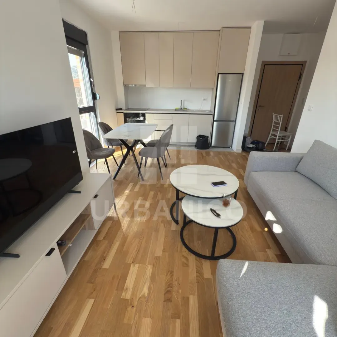 Rent, one bedroom apartment, 45m², Zagorič, Podgorica