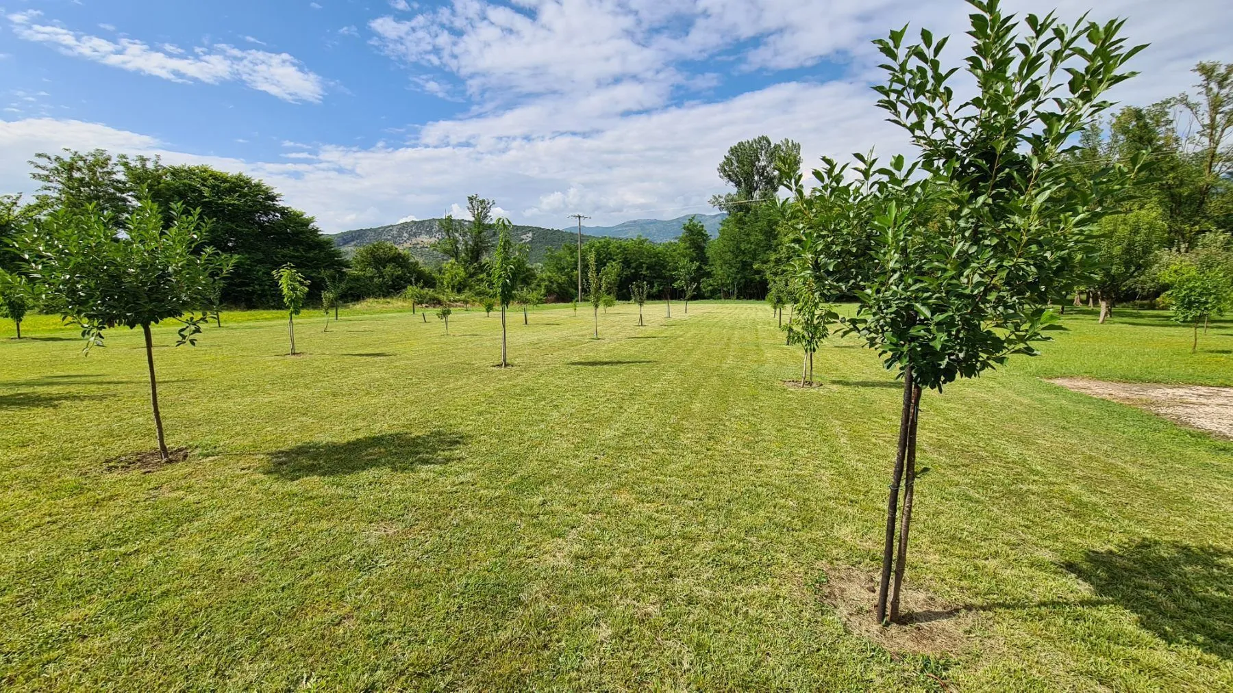 Prodaja, plac, 4430m², Danilovgrad, Crna Gora