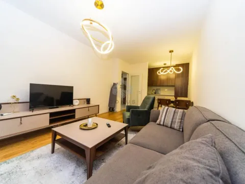 Izdavanje, jednosoban stan, 49m², Central Point, Podgorica - image 2