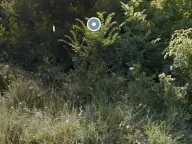 Sale, land lot, 3580m², Kotor, Crna Gora - image 1