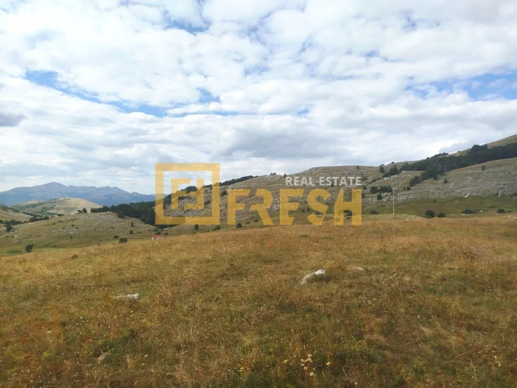 Prodaja, plac, 20000m², Nikšić, Crna Gora