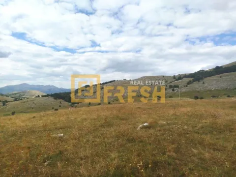 Prodaja, plac, 20000m², Nikšić, Crna Gora - image 3