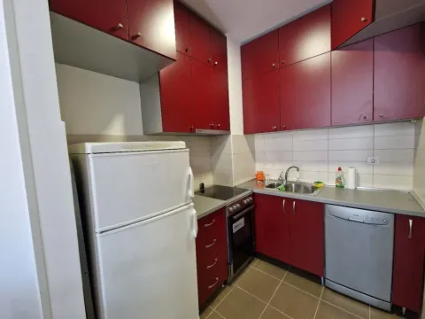 Izdavanje, jednosoban stan, 54m², Stara Varoš, Podgorica - image 9