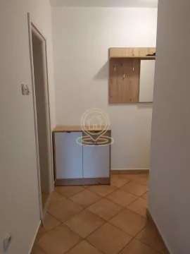 Rent, one bedroom apartment, 28m², Telep, Novi Sad Sve Podlokacije - image 10
