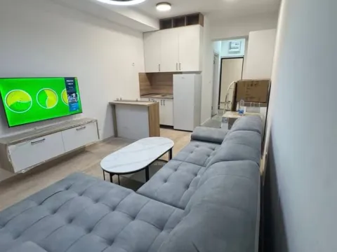 Rent, one bedroom apartment, 24m², Vezirov Most, Podgorica - image 4