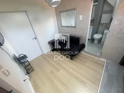 Izdavanje, jednosoban stan, 24m², Vračar Centar, Vračar Sve Podlokacije - image 2