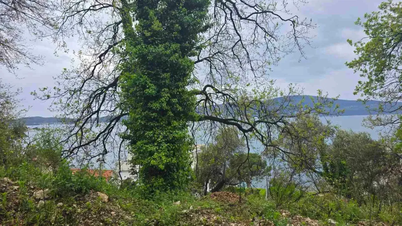 Sale, land lot, 1155m², Tivat, Crna Gora